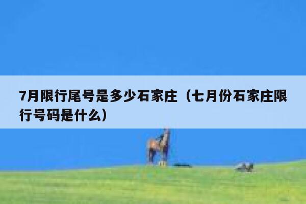 7月限行尾号是多少石家庄（七月份石家庄限行号码是什么） 第1张