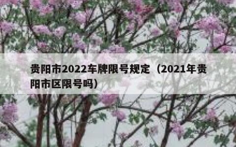 贵阳市2022车牌限号规定（2021年贵阳市区限号吗）