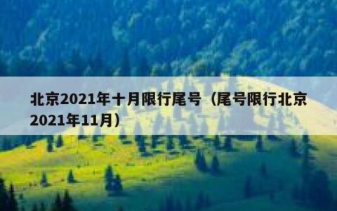 北京2021年十月限行尾号（尾号限行北京2021年11月）