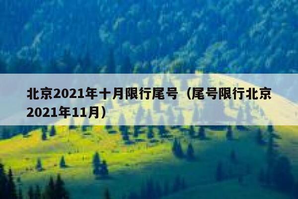 北京2021年十月限行尾号（尾号限行北京2021年11月） 第1张