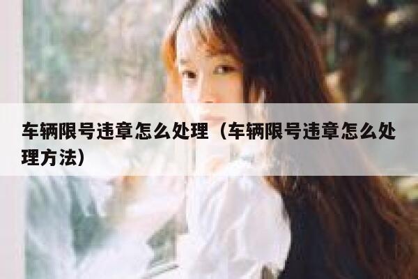 车辆限号违章怎么处理（车辆限号违章怎么处理方法） 第1张