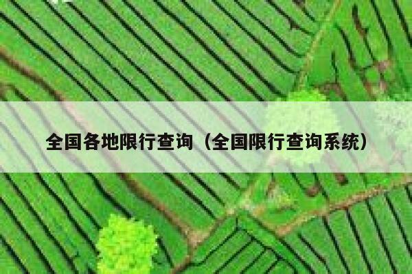 全国各地限行查询（全国限行查询系统） 第1张