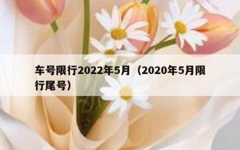 车号限行2022年5月（2020年5月限行尾号）