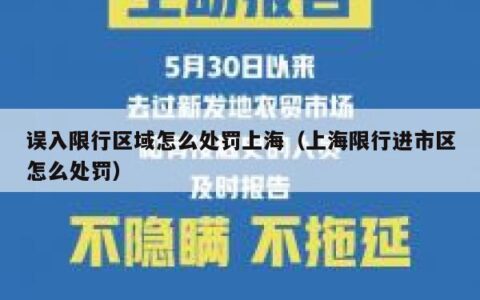 误入限行区域怎么处罚上海（上海限行进市区怎么处罚）