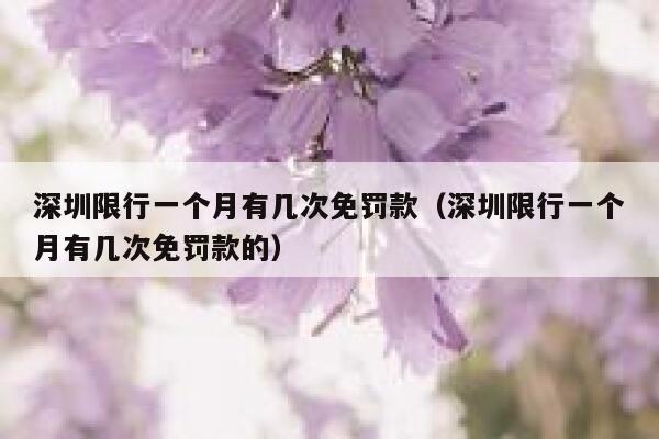 深圳限行一个月有几次免罚款（深圳限行一个月有几次免罚款的） 第1张