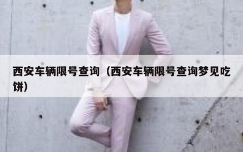 西安车辆限号查询（西安车辆限号查询梦见吃饼）