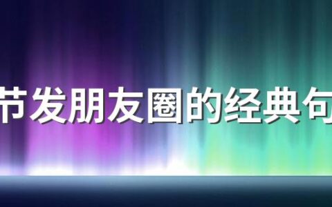 端午节发朋友圈的经典句子有哪些 端午节发朋友圈的经典句子100句