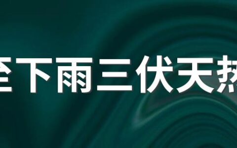 夏至下雨三伏天热吗 2022年夏至是什么时候