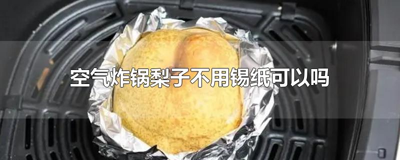 空气炸锅梨子不用锡纸可以吗
