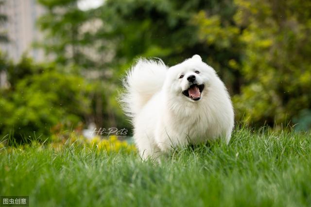 你不知道的创业小白必看营销小妙招