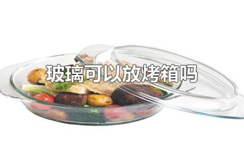 玻璃可以放烤箱吗