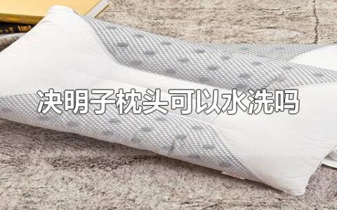 决明子枕头可以水洗吗