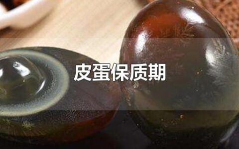 皮蛋保质期