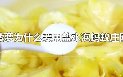 菠萝为什么要用盐水泡蚂蚁庄园