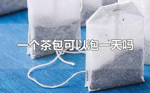 一个茶包可以泡一天吗