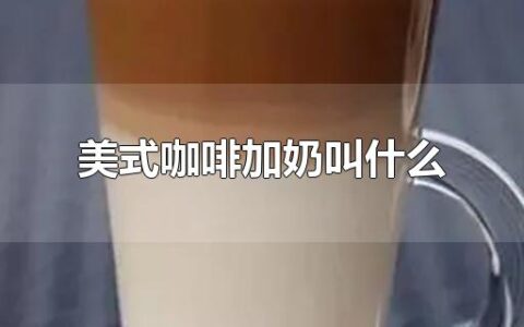 美式咖啡加奶叫什么