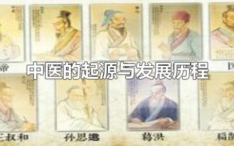 中医的起源与发展历程