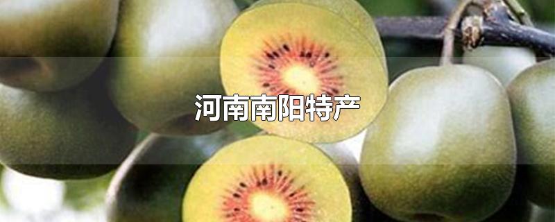 河南南阳特产