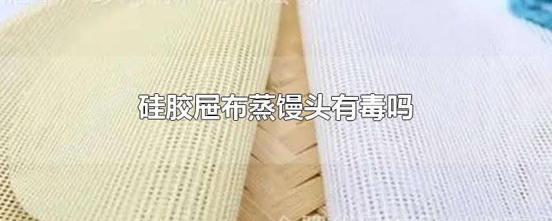 硅胶屉布蒸馒头有毒吗