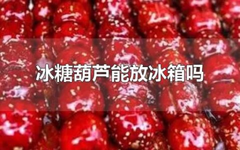 冰糖葫芦能放冰箱吗