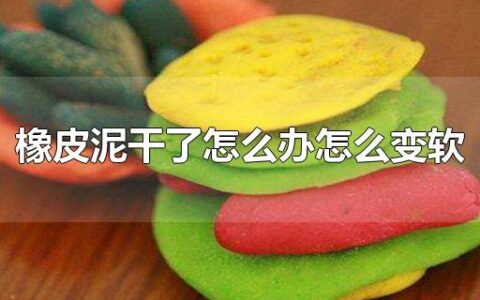 橡皮泥干了怎么办怎么变软