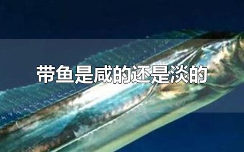 带鱼是咸的还是淡的