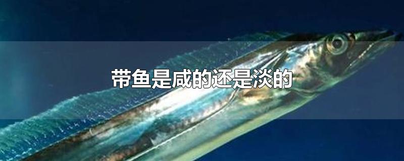 带鱼是咸的还是淡的