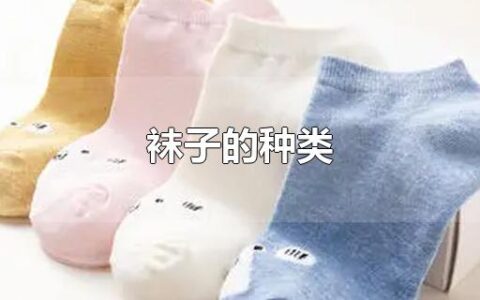 袜子的种类