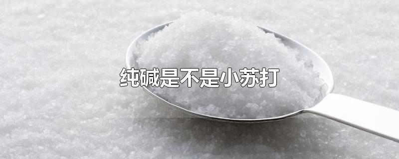 纯碱是不是小苏打