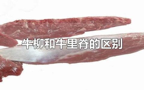 牛柳和牛里脊的区别
