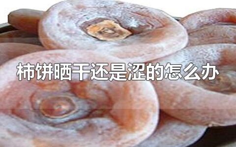 柿饼晒干还是涩的怎么办