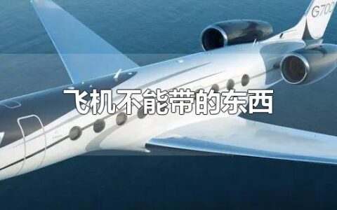 飞机不能带的东西