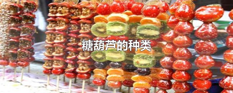 糖葫芦的种类