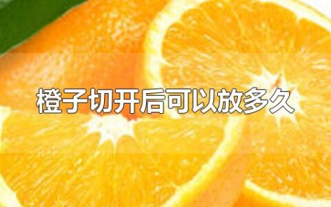 橙子切开后可以放多久